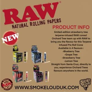 raw terpene infused rolling paper cones 4 flavours!