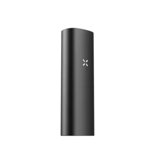 pax mini 2 onyx